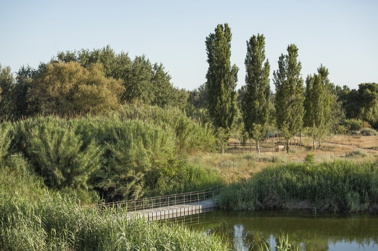 Ruta ornitològica de l'horta