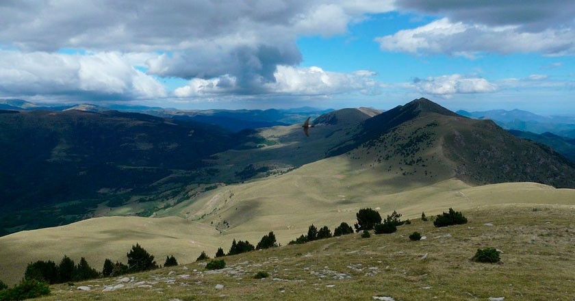 Ruta por los vecindarios de Pardines bajo la sombra de la Sierra Cavallera