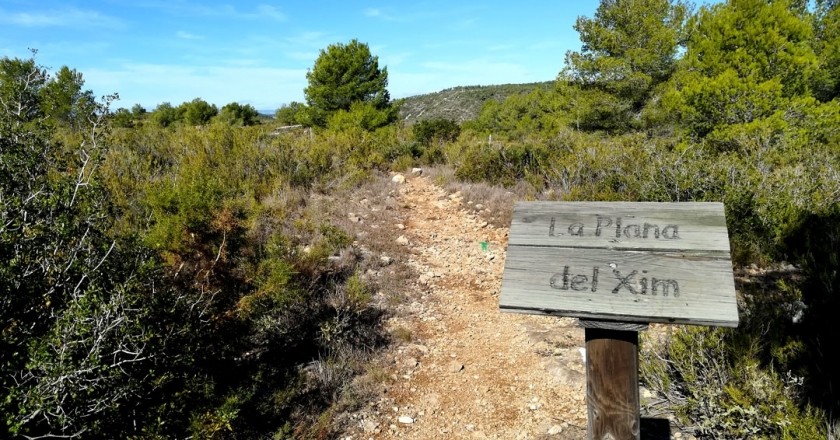 Route through the Plana de Xim in Roda de Berá