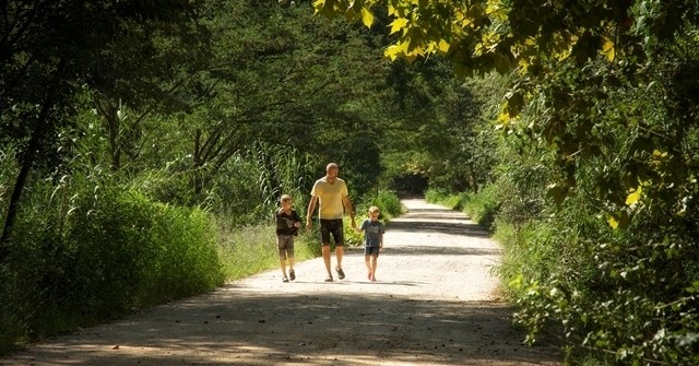 Local trails of Hostalric