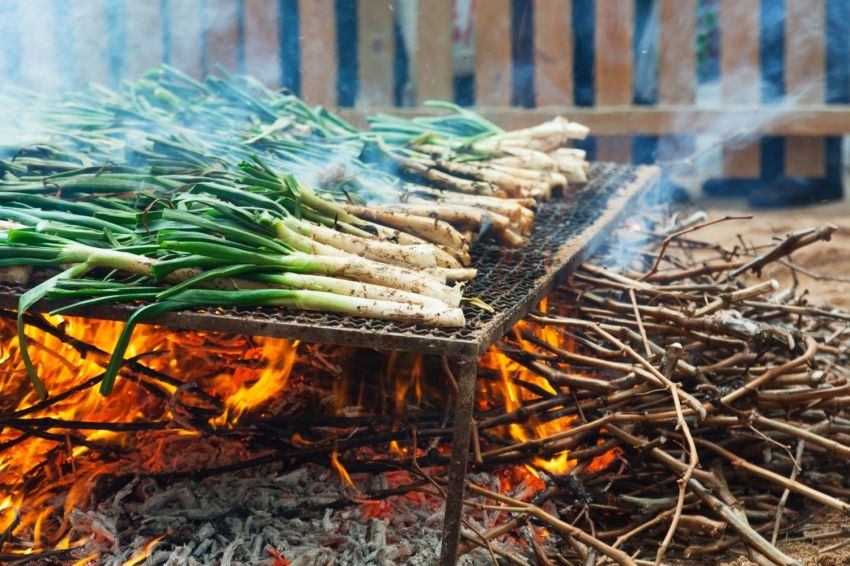 Un viaje al universo de los calçots