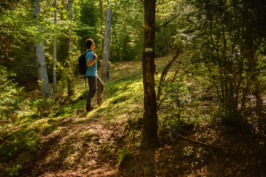 Ruta circular por el Catllaràs desde Sant Romà de la Clusa