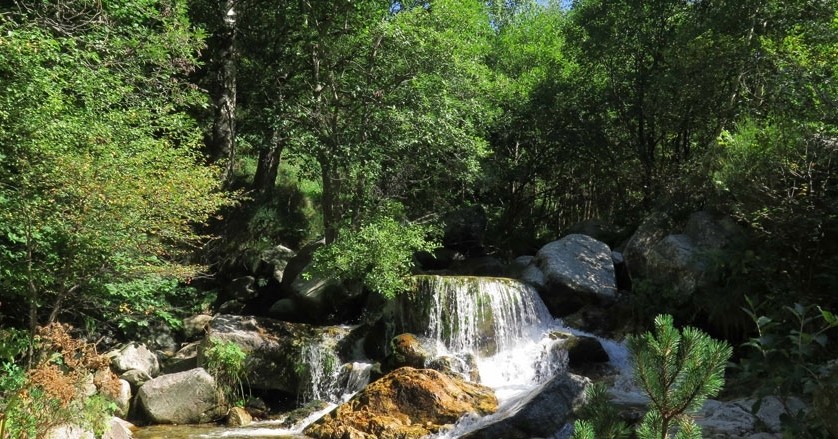 Tour of the Carboner River in Setcases