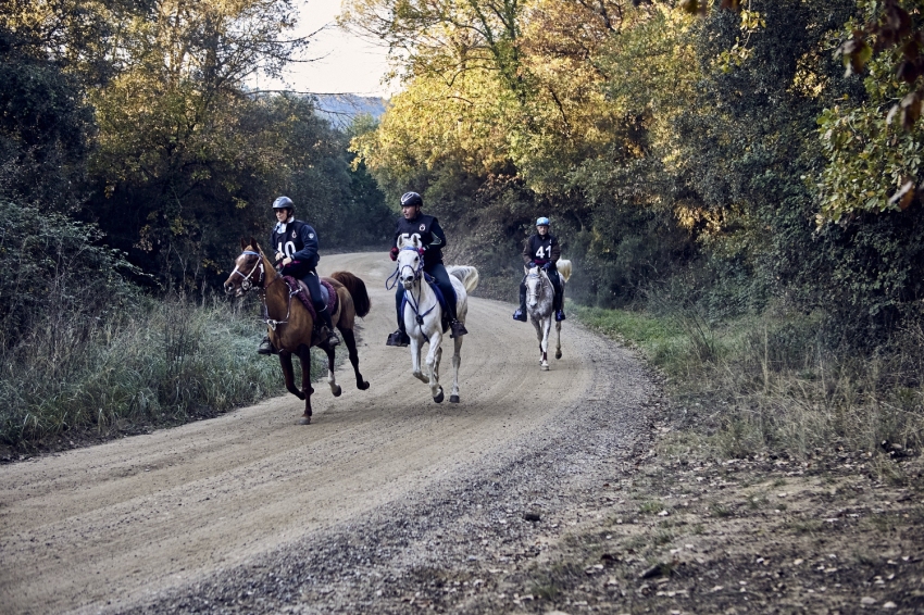 Raid Hípic Internacional a Santa Susanna (_30A8026)