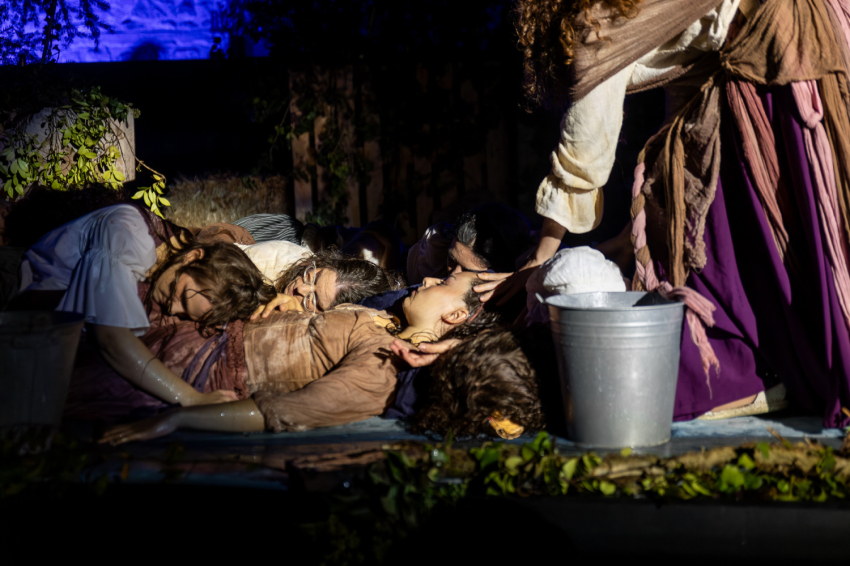 Fes-ta Bruixa (Fête des Sorcières) à Sant Feliu Sasserra (54116862753_d29b939422_k)
