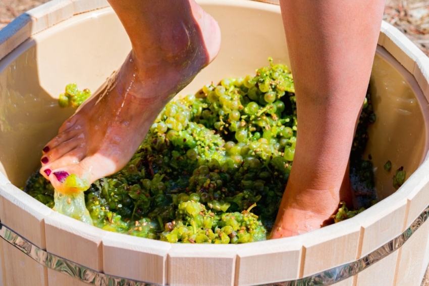 Torna la Verema del Cava! (LVDC 11 Min)