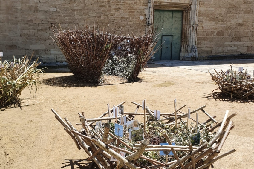 È bo, è mel i Exposició de flors a Banyoles (Parroquia._._)
