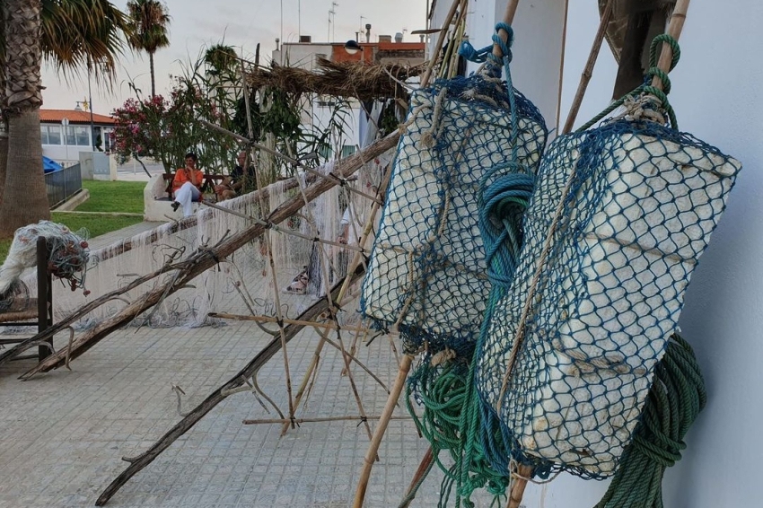 Jornada festiva i divulgativa 'Les Cases: dones i mar', Les Cases d'Alcanar (358134833_669473581892625_8510464526961827801_n)