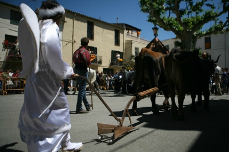 Fiesta Mayor de Sant Isidre en Cabanes (Festa Major De Sant Isidre A Cabanes 3)