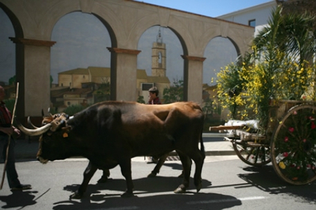Fiesta Mayor de Sant Isidre en Cabanes (Festa Major De Sant Isidre A Cabanes 4)