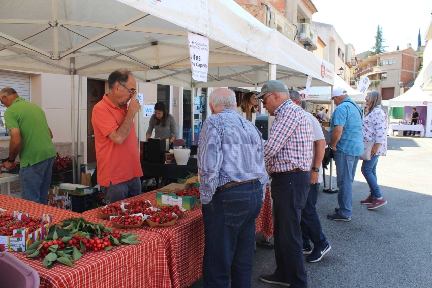 Agriculture, commerce and entities fair, Castellví de Rosanes (Fira I Exhibicions 8)