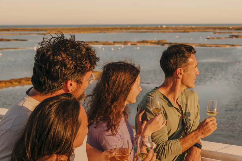 Posta de sol entre flamencs a MónNatura Delta de lEbre (Posta De Sol Entre Flamencs 6)