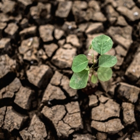 17 de juny, Dia Mundial de la Lluita contra la Desertificació&#8230;