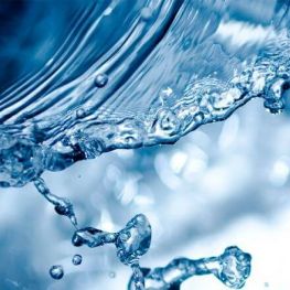 22 de marzo, día Mundial del Agua