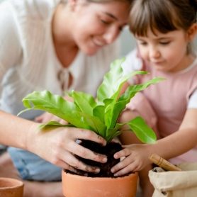 26 de gener, Dia Mundial de l'Educació Ambiental