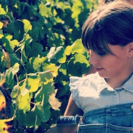 Actividad de vendimia y desayuno en Bodegas Ca n'Estella