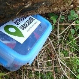 Promenade guidée: Les trésors de la forêt de Sant Celoni
