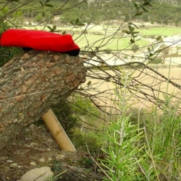 Anem a buscar el tió al bosc de Fogars de la Selva