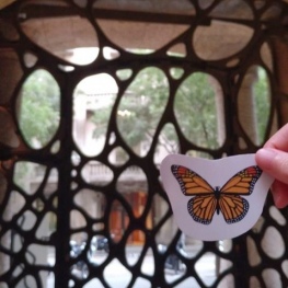 Animals Gaudinians i on trobar-los a la Pedrera!