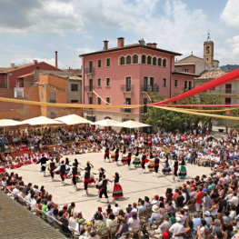 Aplec de la Rosa a Lurdes i al Castell de Tona