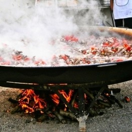 Aplec de Sant Antoni a Ribes de Freser