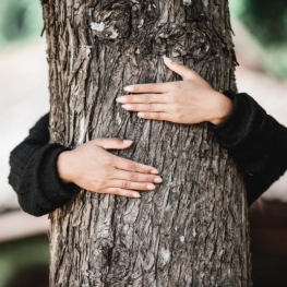 Forest bathing in Sant Pere de Ribes