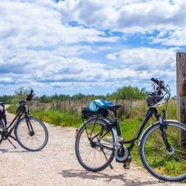 Bicicletadas culturales en Amposta