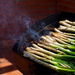 Popular calçotada in Sidamon