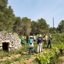 Promenade en pierres sèches à Subirats