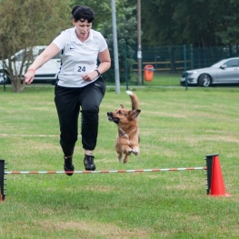 Campeonato de España Agility RSCE en Sidamon