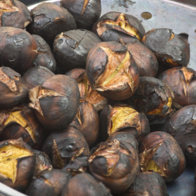 Chestnut festival in Pardines