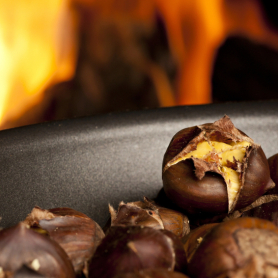 Chestnut tree in Pinedes de l'Armengol, La Torre de Claramunt
