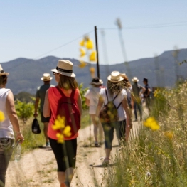 'CEP Passes Solidàries'