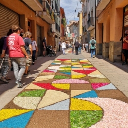 Concours de tapis de fleurs naturelles à Arbúcies