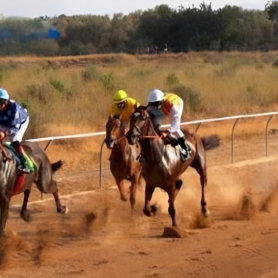 Horse and donkey races in the Sénia