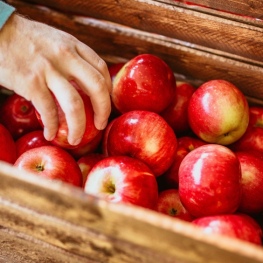 De la Manzana a la Cocina en el Baix Empordà