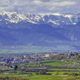 Festa Cerdà de l'any a Llívia