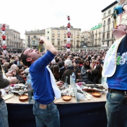 Festa de la Calçotada de Valls