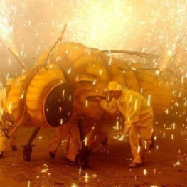 Festival of the Phylloxera of Sant Sadurní de Anoia