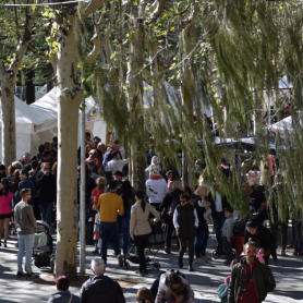 Autumn Festival at Les Masies de Voltregà