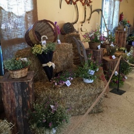 Fiesta de las Flores Silvestres de Salo