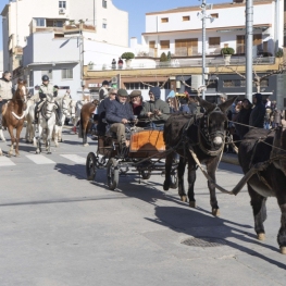 Sant Antoni Festival in Almenar