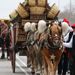 Festa de Sant Antoni a Sant Jaume d'Enveja