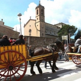 Festa de Sant Antoni a Tona