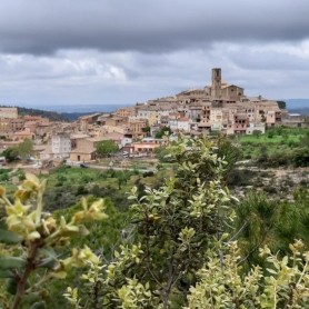 Festa de Sant Isidre Llaurador a la Figuera
