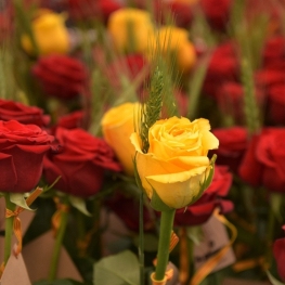 Sant Jordi Festival in Masllorenç