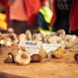 Fête des champignons à Santa Susanna