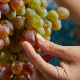 Grape Festival in Masquefa
