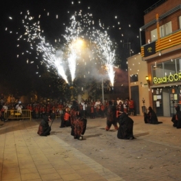 Ràpita winter festival in Santa Margarida i els Monjos