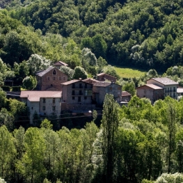 Festival of La Plana de Mont-ros